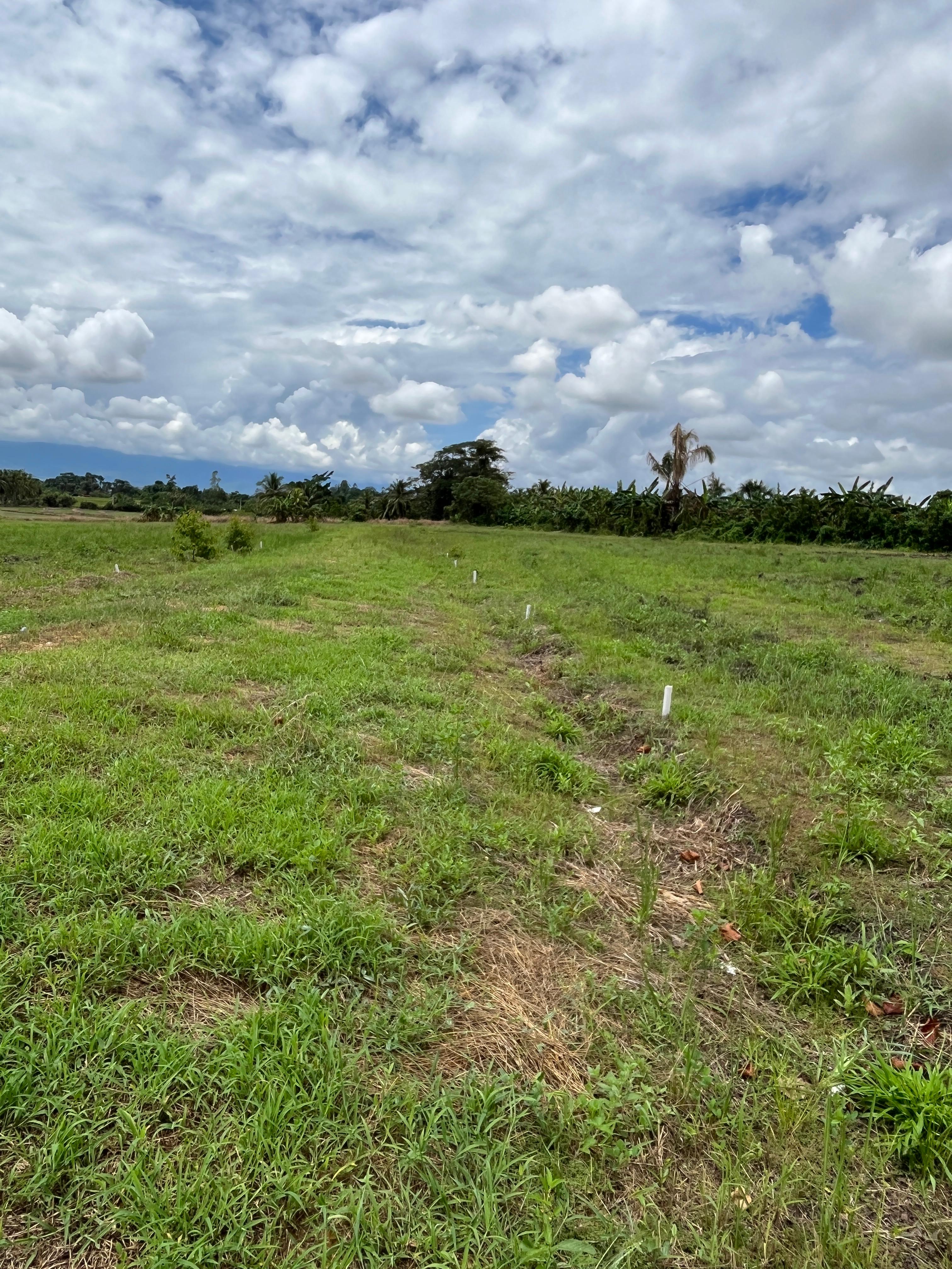 Terreno 3.5 ha En Venta Se acepta Arras– Listo Para Proyecto Urbanístico | Residencial Valle Verde –